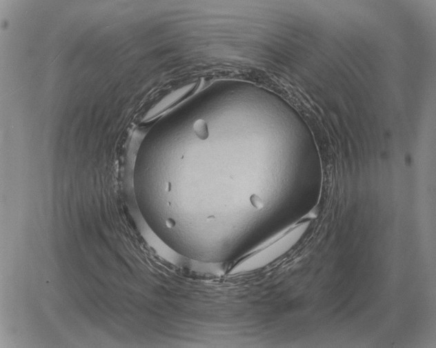 X0000083620916200702260949