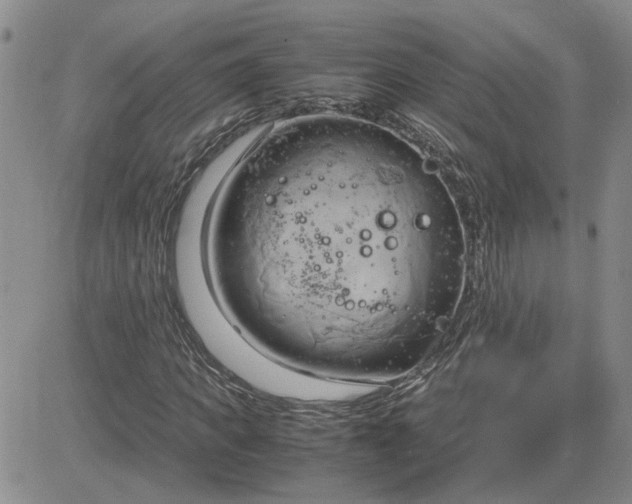 X0000083620917200702260949