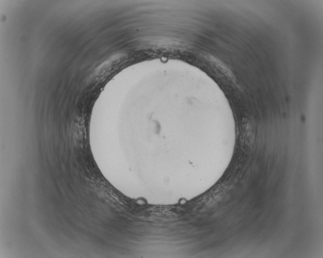 X0000083620918200702260949