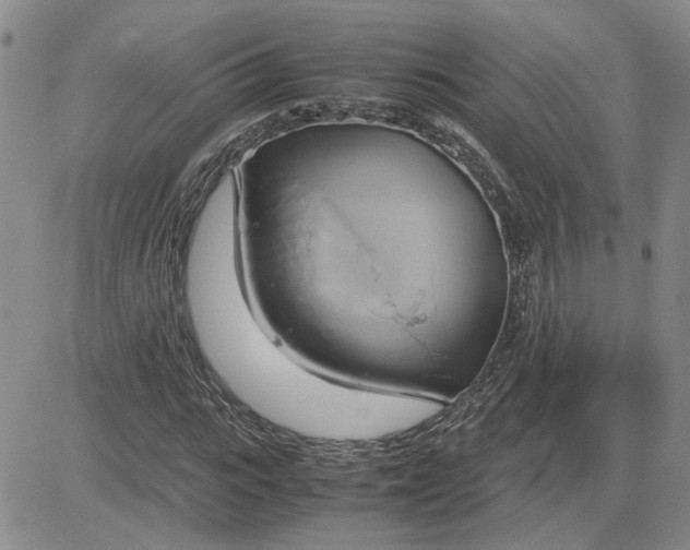 X0000083620919200702260949