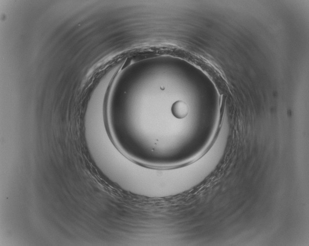 X0000083620920200702260949