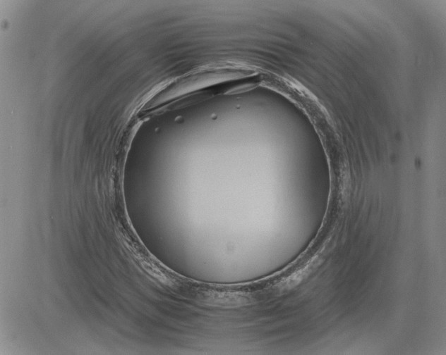 X0000083620921200702260949