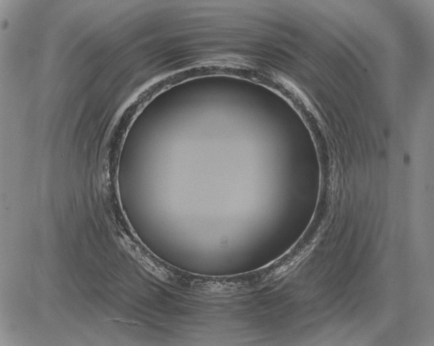 X0000083620923200702260949