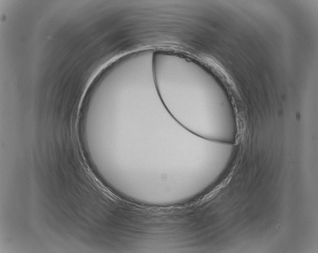 X0000083620924200702260949