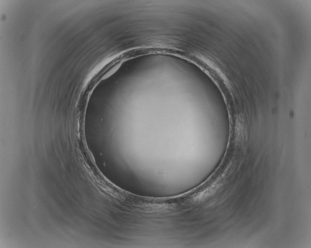 X0000083620925200702260949