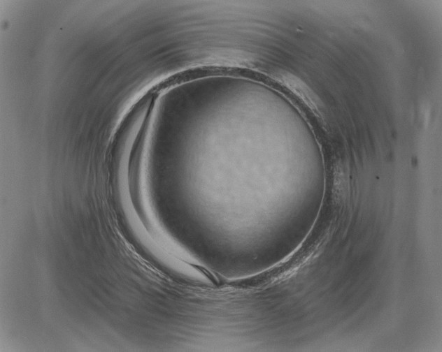 X0000083620926200702260949