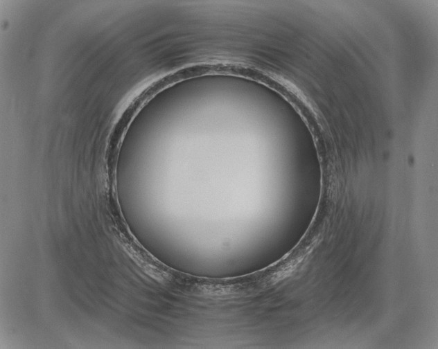 X0000083620927200702260949