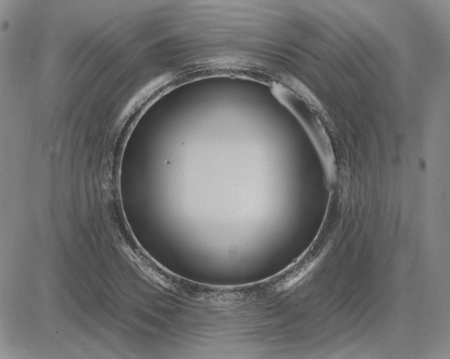 X0000083620930200702260950