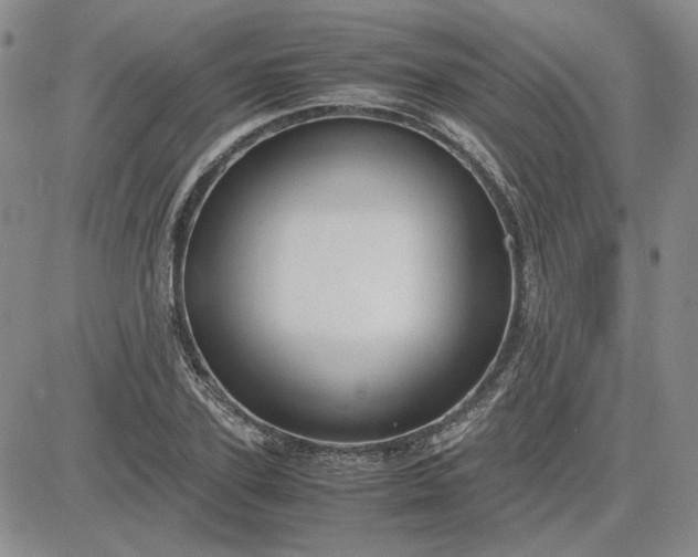 X0000083620931200702260950