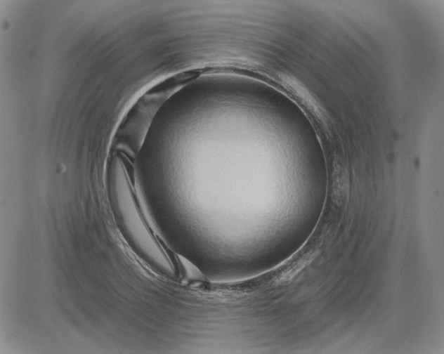 X0000083620932200702260950