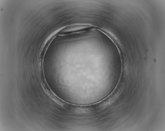 X0000083620933200702260950