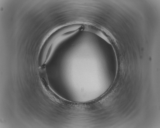 X0000083620934200702260950