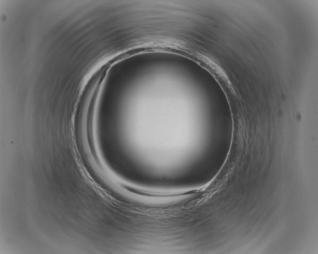 X0000083620936200702260950