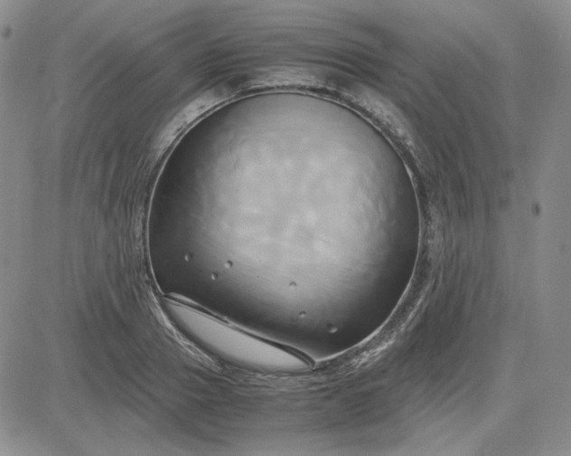 X0000083620937200702260950