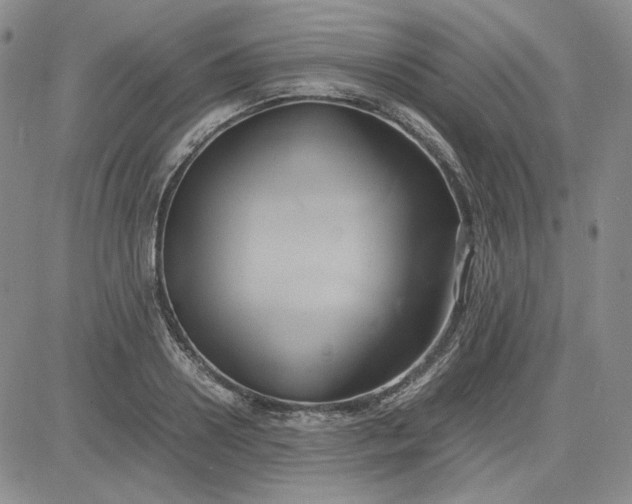 X0000083620938200702260950