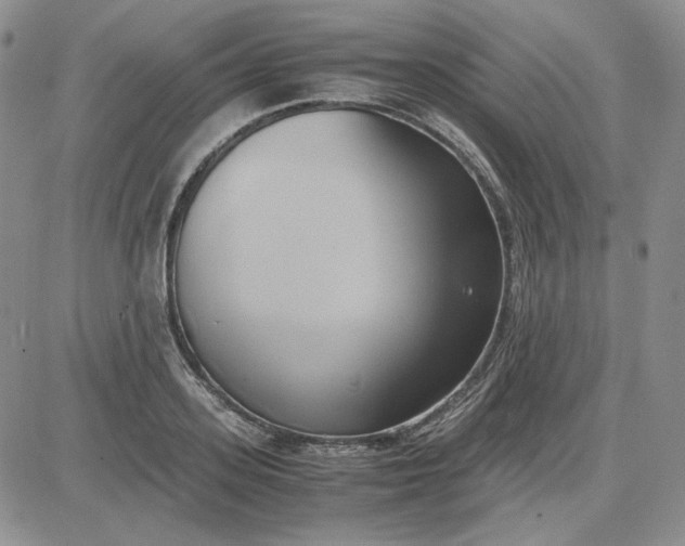 X0000083620939200702260950