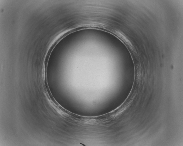 X0000083620940200702260950