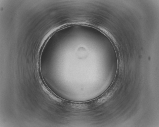 X0000083620941200702260950