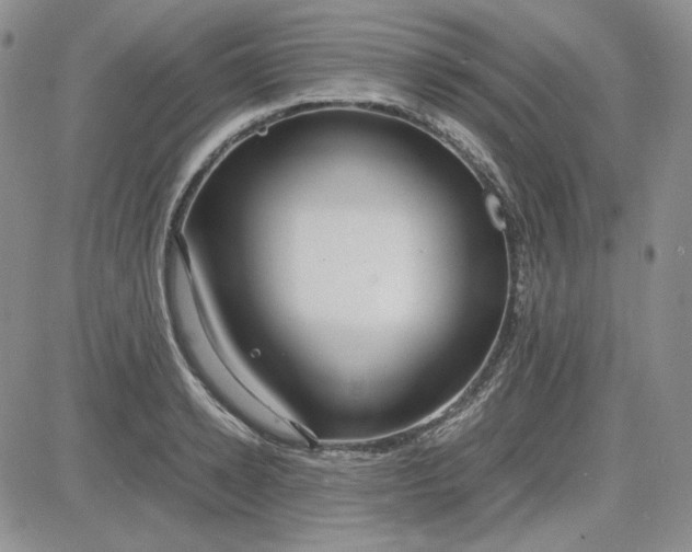 X0000083620942200702260950