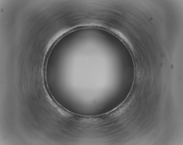 X0000083620943200702260950