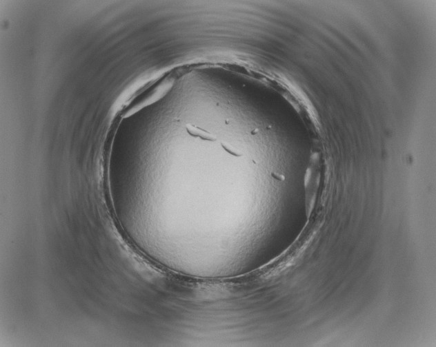 X0000083620944200702260950