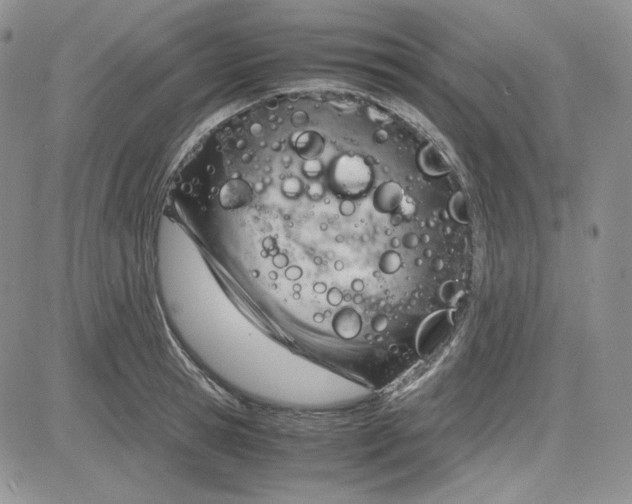 X0000083620945200702260950