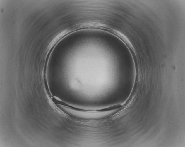 X0000083620946200702260950