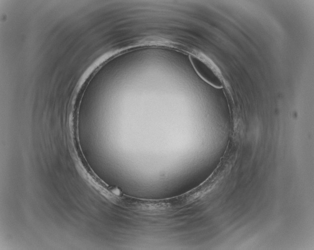 X0000083620947200702260950