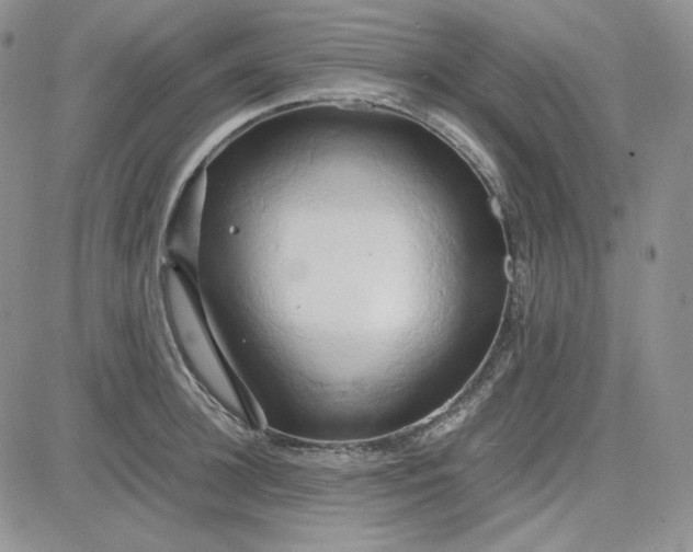 X0000083620948200702260950