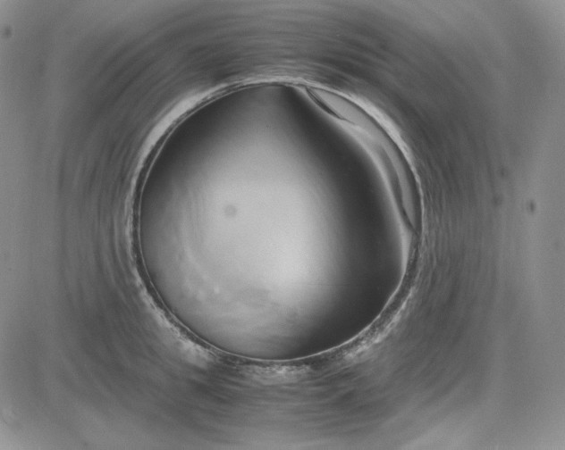 X0000083620949200702260950