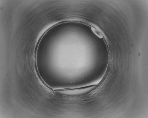 X0000083620951200702260950