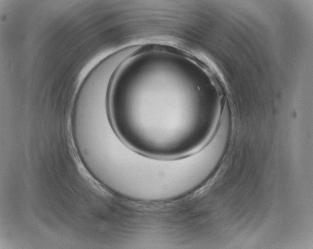 X0000083620952200702260950