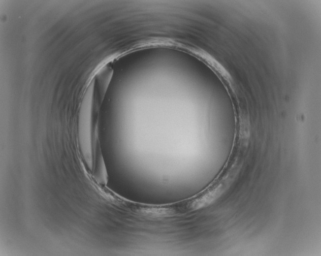 X0000083620953200702260950