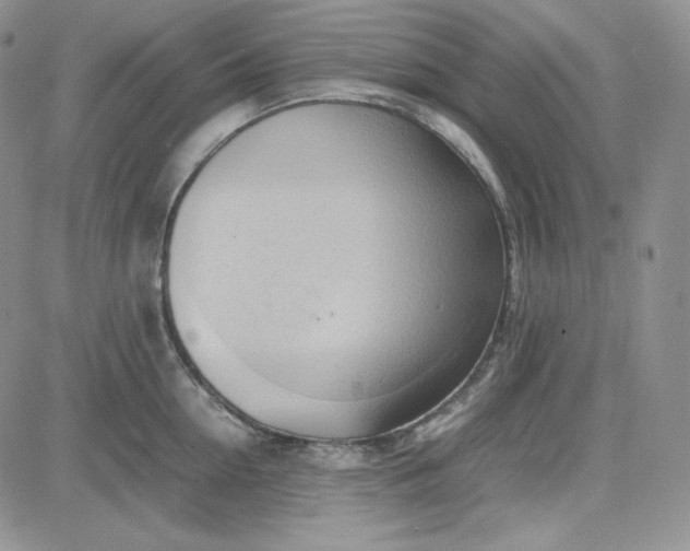 X0000083620954200702260950