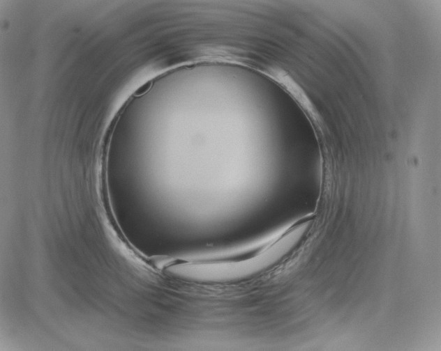 X0000083620955200702260950