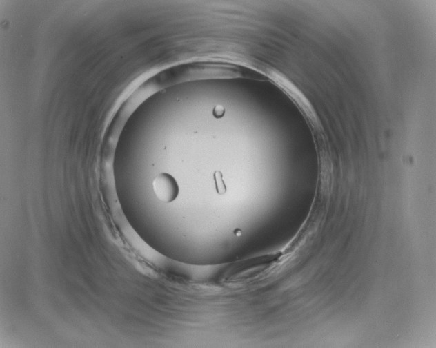 X0000083620956200702260950