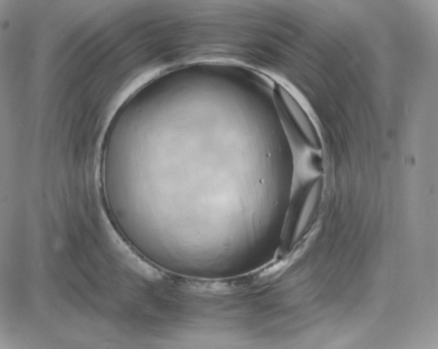 X0000083620957200702260950