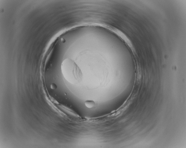 X0000083620958200702260950