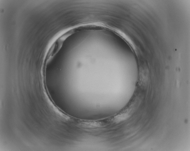 X0000083620959200702260950