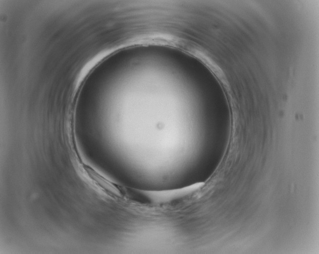 X0000083620960200702260950