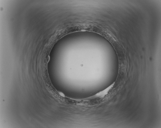 X0000083620961200702260949