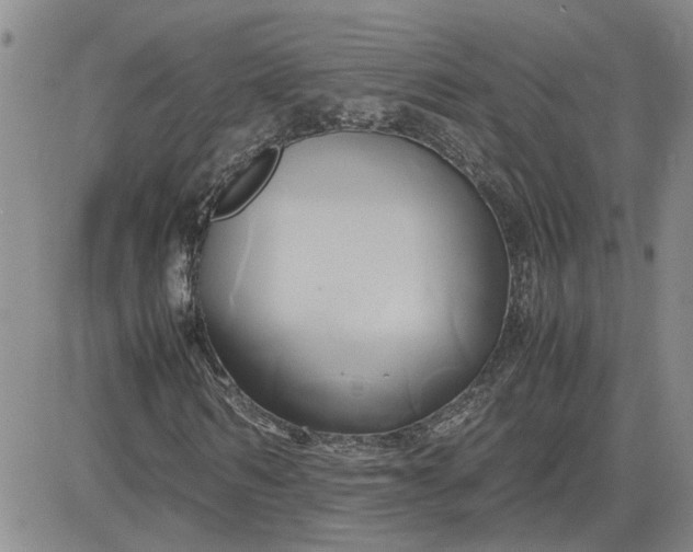 X0000083620962200702260949