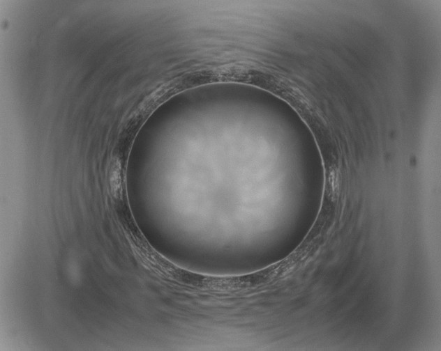 X0000083620963200702260949