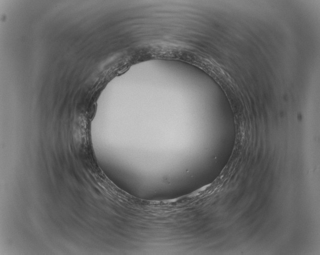 X0000083620964200702260949