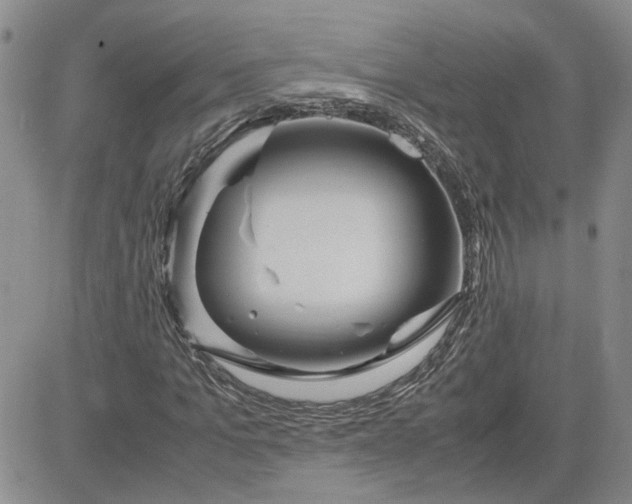 X0000083620965200702260949