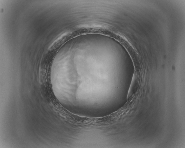 X0000083620967200702260949