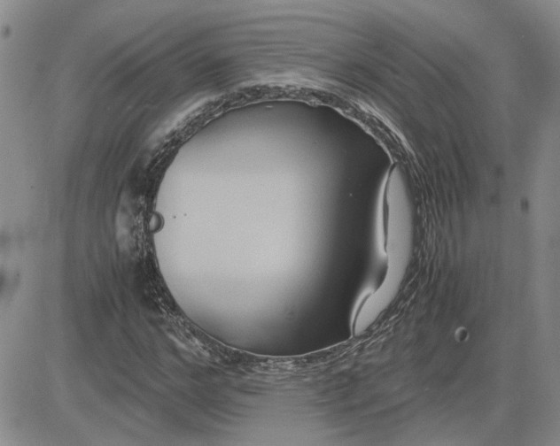 X0000083620968200702260949