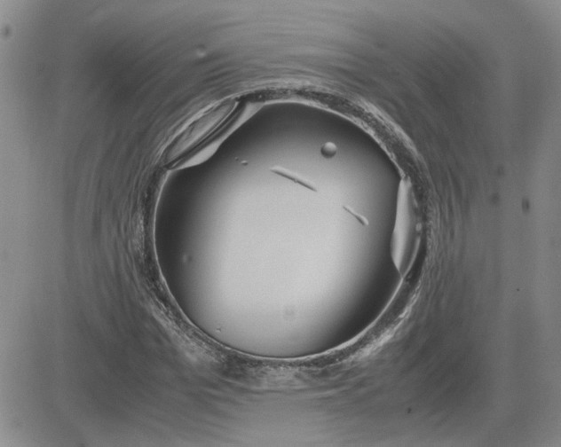 X0000083620969200702260949