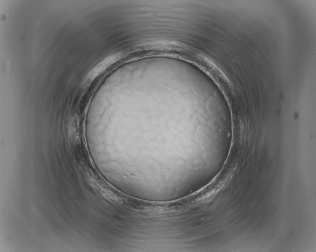 X0000083620970200702260949