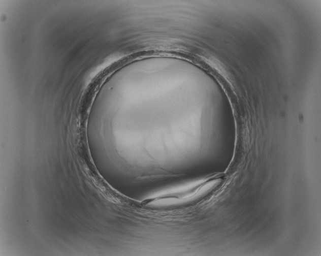 X0000083620971200702260949